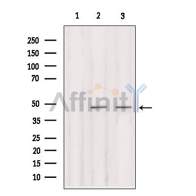 Валидация Affinity DF3093 - 13848
