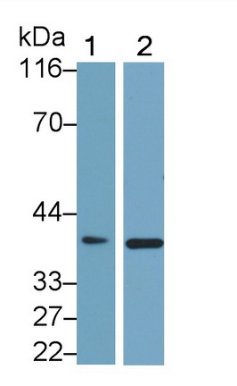 26757