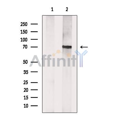 Валидация Affinity DF9733 - 22535