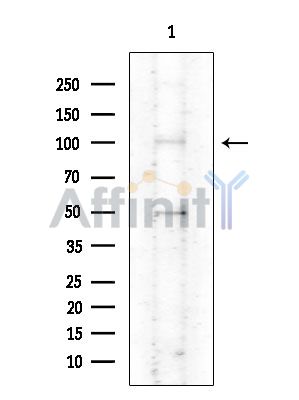 Валидация Affinity DF2223 - 12756