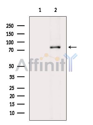 Валидация Affinity DF4627 - 16263