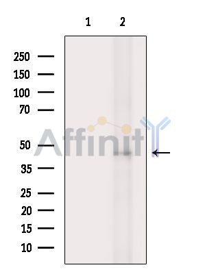 Валидация Affinity DF14872 - 11013