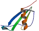 Growth Regulated Oncogene Gamma (GROg)