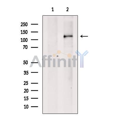 Валидация Affinity DF13590 - 9069