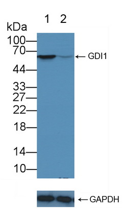 12141