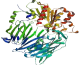 Dipeptidyl Peptidase IV (DPP4)