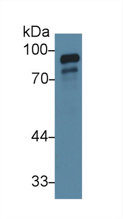 13573