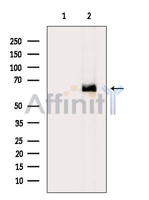 Валидация Affinity DF15940 - 12453