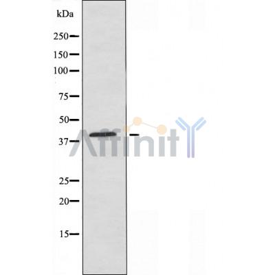 Валидация Affinity AF5259 - 2766