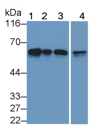 24835