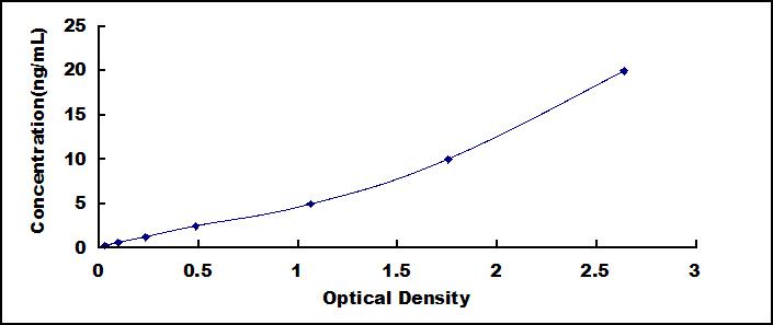 62071