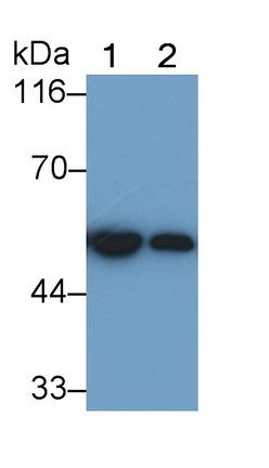 8341