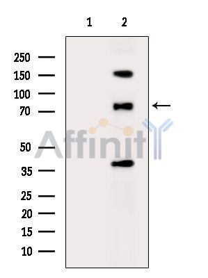 Валидация Affinity DF13936 - 9681