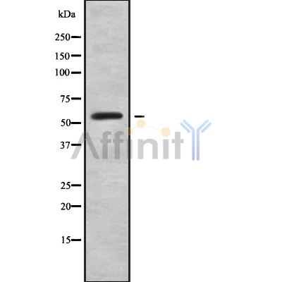 Валидация Affinity DF9799 - 22660