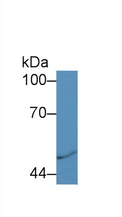 14936