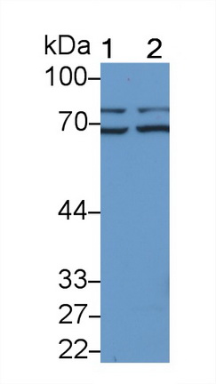 20142