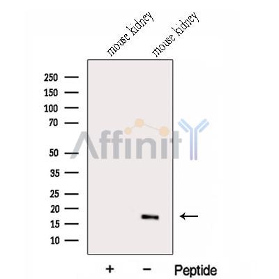 Валидация Affinity DF13028 - 7846