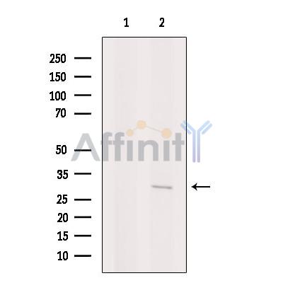 Валидация Affinity DF6628 - 18093