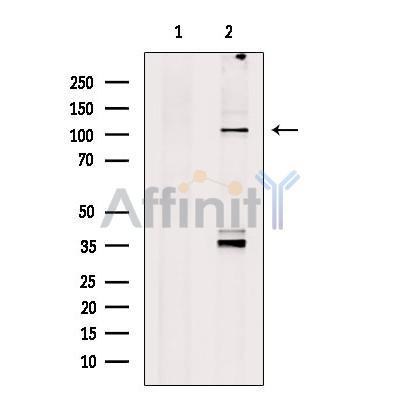 Валидация Affinity DF13417 - 8714