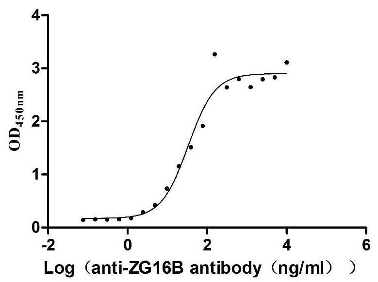 Функциональный ИФА: связывание рекомбинантного антитела к ZG16B