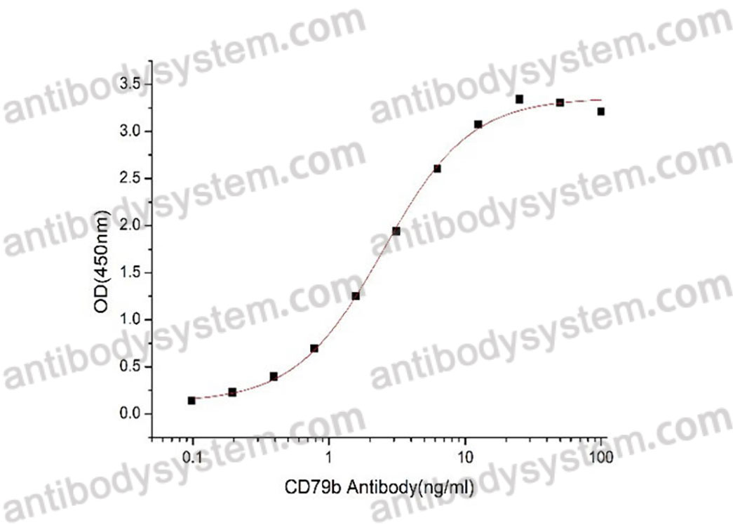 Валидация активности AntibodySystem AHE26301