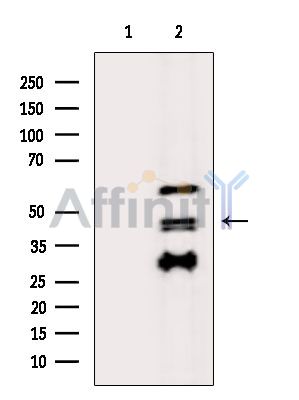 Валидация Affinity DF9007 - 21219
