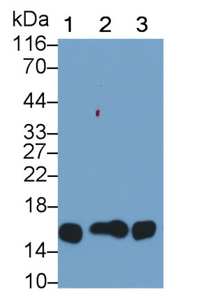 14671