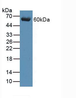 6346