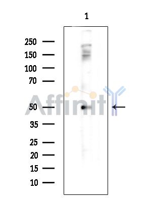 Валидация Affinity DF14186 - 10001
