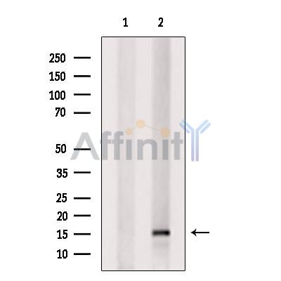 Валидация Affinity DF6721 - 18248