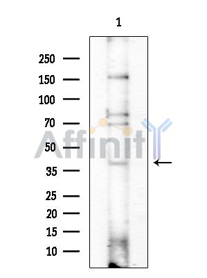 Валидация Affinity DF2290 - 12847