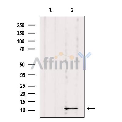 Валидация Affinity DF9471 - 22064