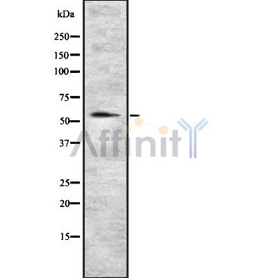 Валидация Affinity DF8283 - 20128