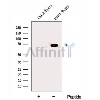 Валидация Affinity DF12959 - 7726