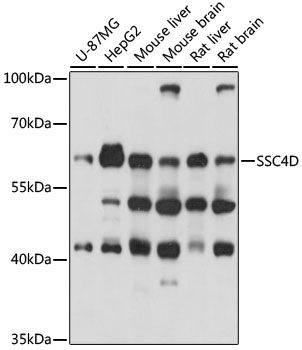 Валидация Elabscience E-AB-91373