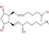 8-Epi Prostaglandin F2 Alpha (8-epi-PGF2a)