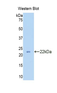 48702