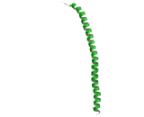 Keratin 13 (KRT13)
