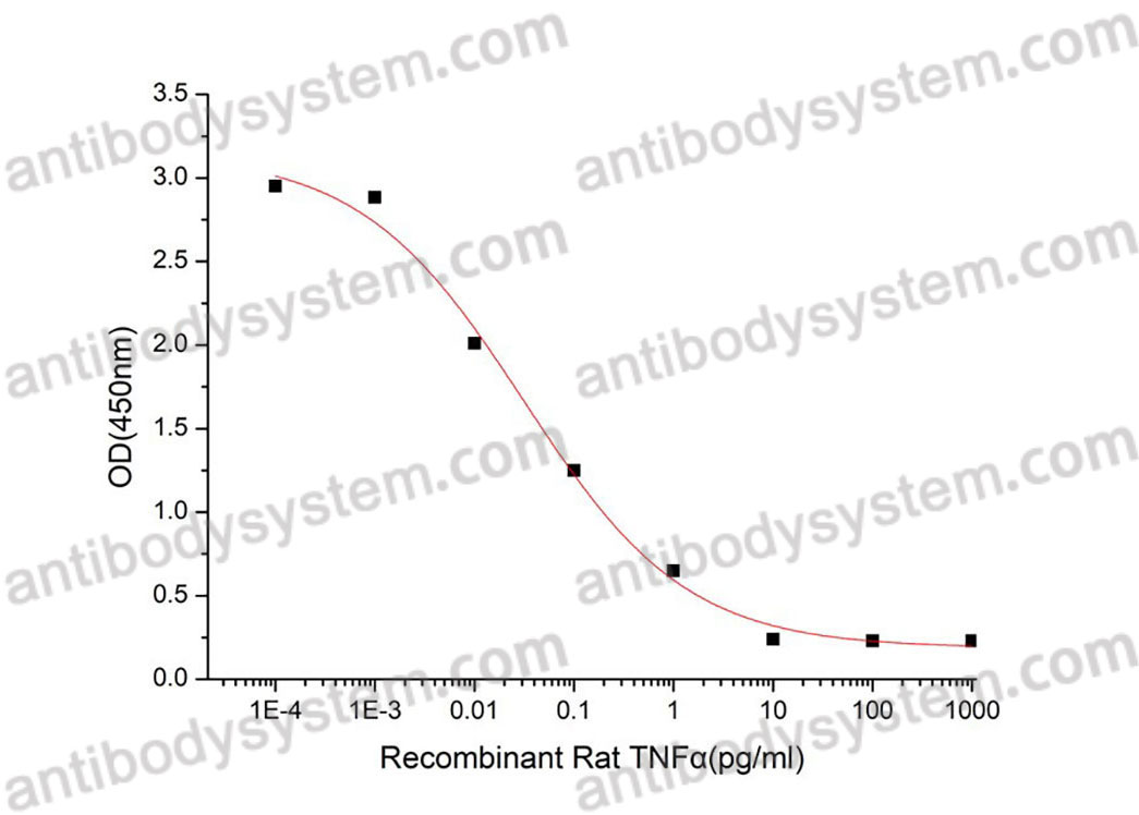 Валидация активности AntibodySystem ARB94401