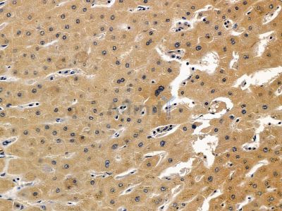 Валидация Affinity DF12626 - 7259