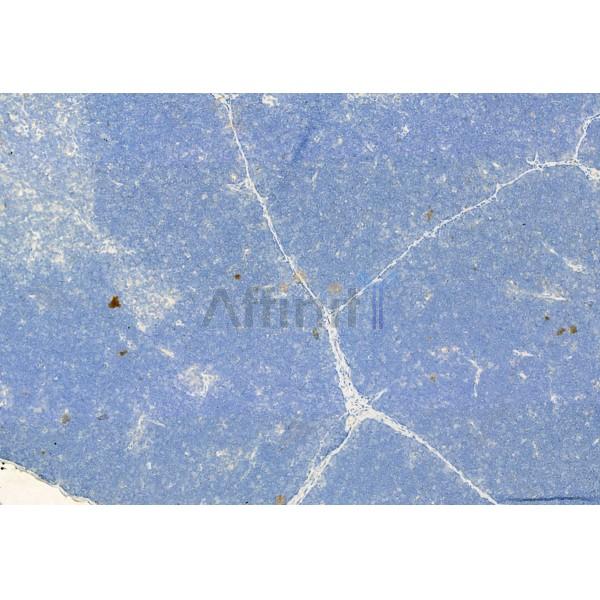 Валидация Affinity DF4149 - 15465