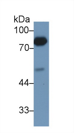13740