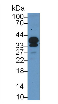 9189