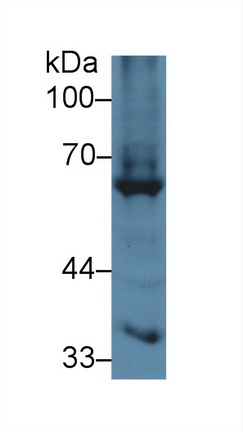 13931