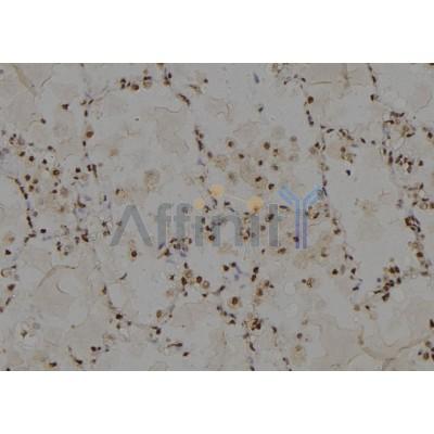 Валидация Affinity DF4359 - 15818