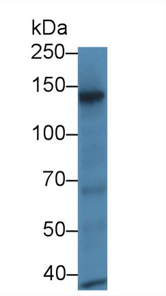 8408