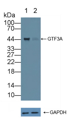 12157