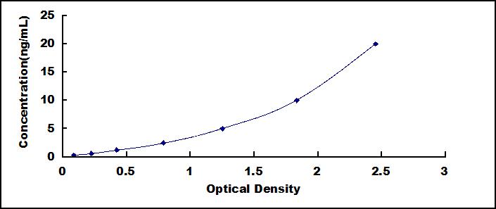 51008