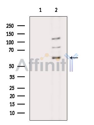 Валидация Affinity DF14367 - 10283