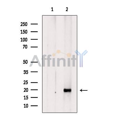 Валидация Affinity DF3676 - 14684